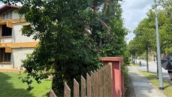 St Nicholas View (D20), Semi-Detached #607971291